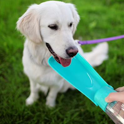 Gourde pour Chien – Hydratation facile, partout et à tout moment - La Truffe Elégante
