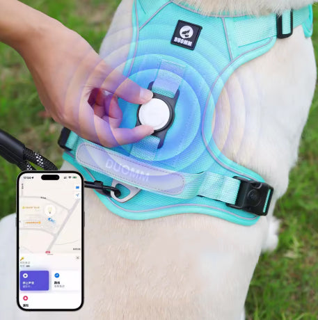 Harnais Anti-Traction – Contrôle, confort et sécurité en promenade - La Truffe Elégante