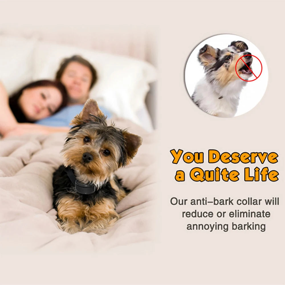 He06804368aae40a8a118b4879c7a12e4m