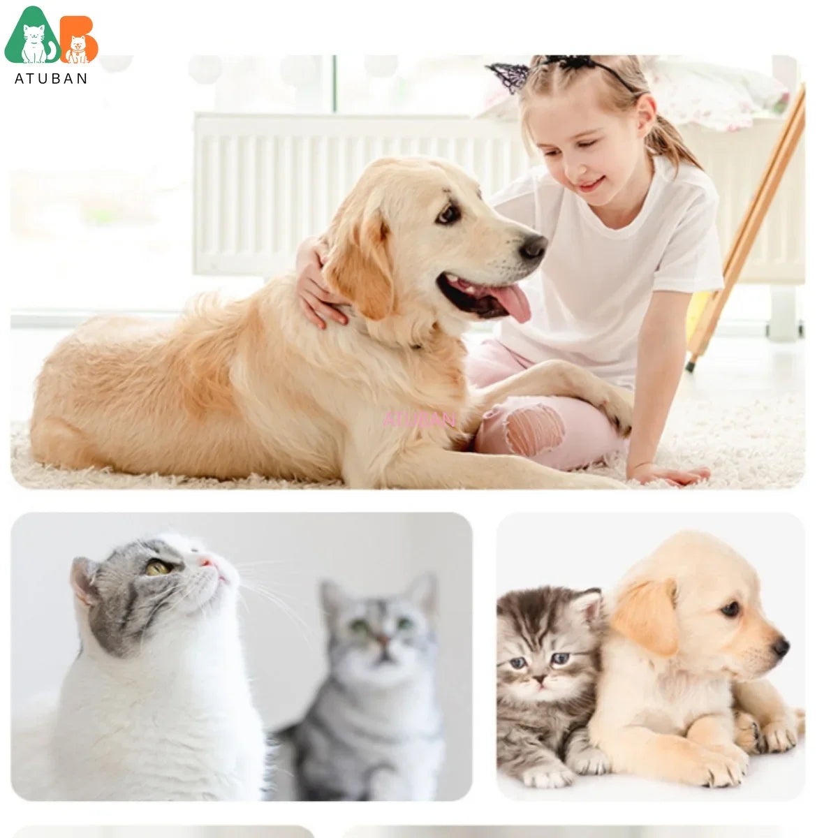 S1be083dc8dca4cd19781d1592d5b052aR