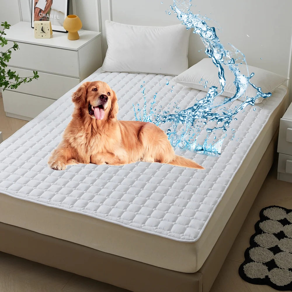 S2c1f5875958f434d92f8163fb0fc2bcfq