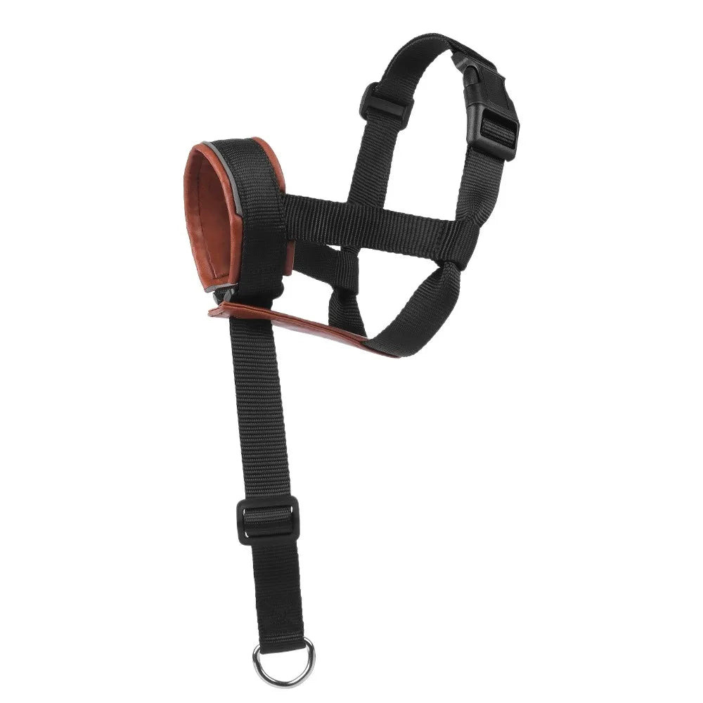 S2d1fcccc6aec48269727e3f7b581cbdfo