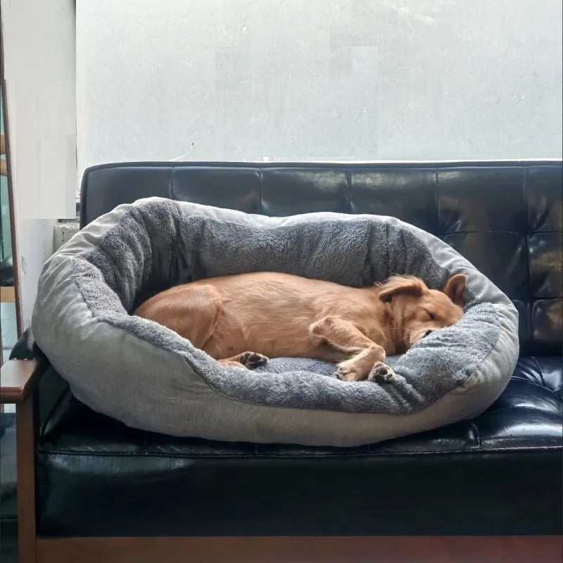 S368137ee21764cfeaf44e21b15488ac4q