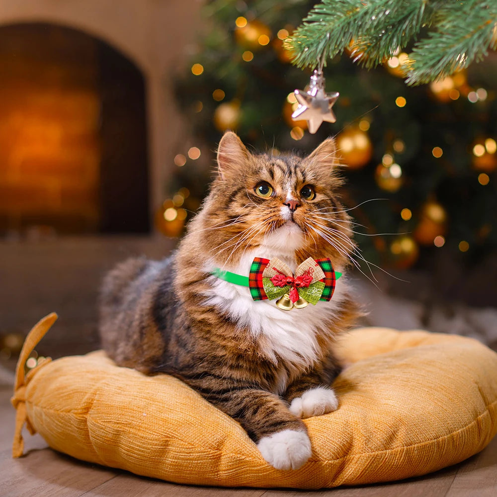 S38dbc9a6db49451c82b900666b2c6138Z