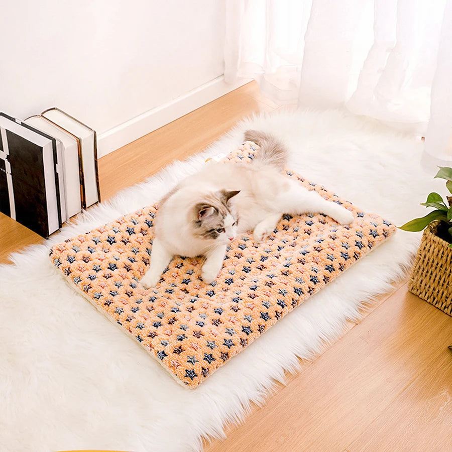 S3d2e9dde0fe041cf999def026399b28ej