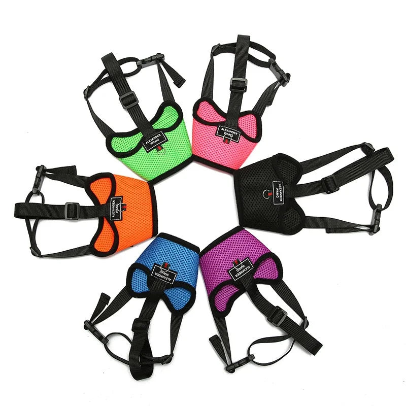 S527d37676f314ff498e9570ca8f03c80a