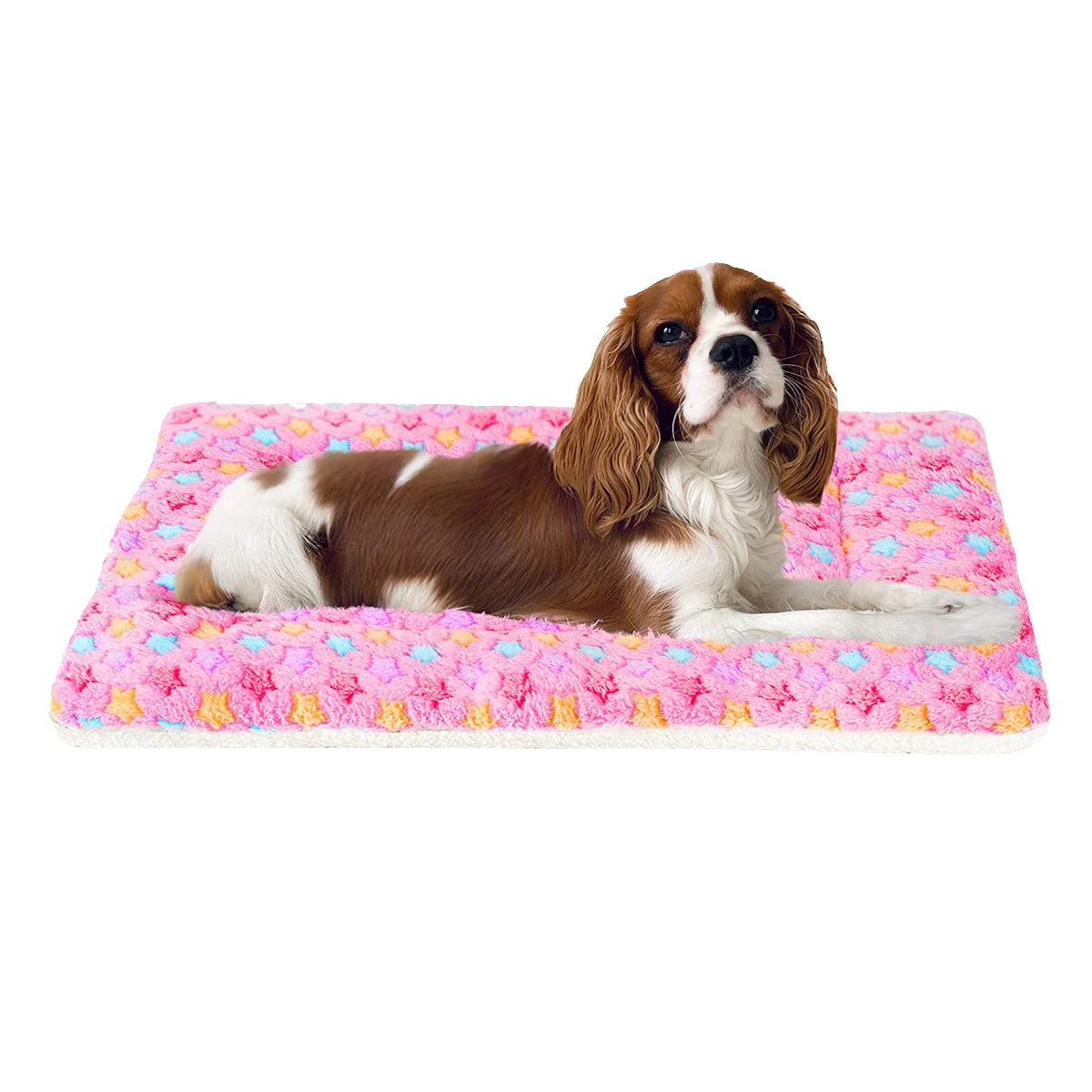 S90cb68973b9947f7ac1c6e22942088a48