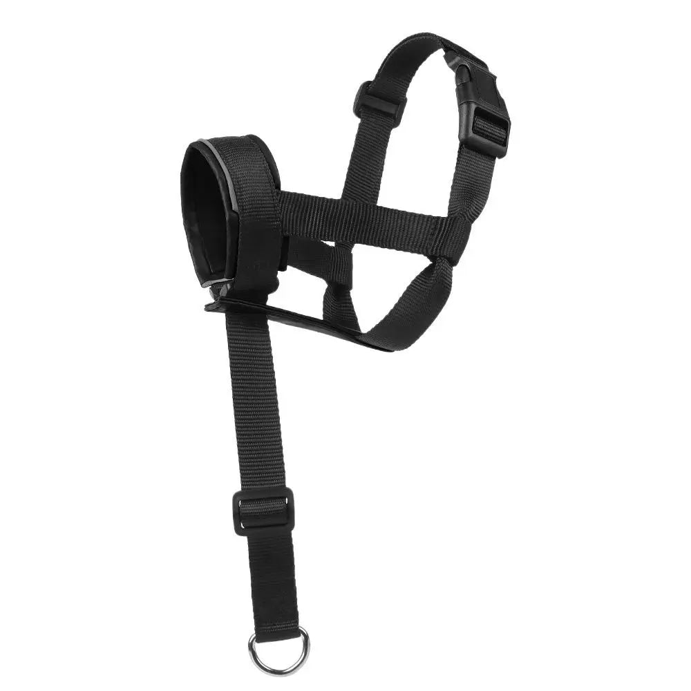 Sd60a03e2c8c249d9b1abbd5018232b50P