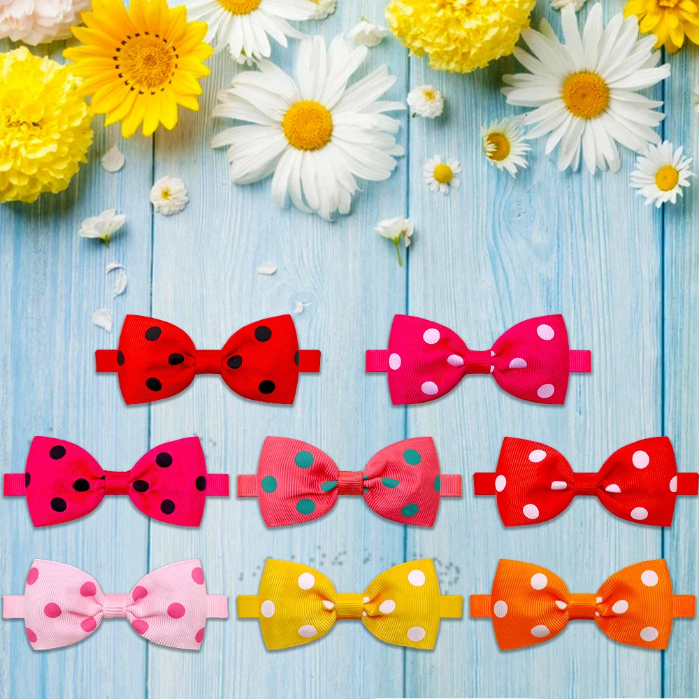 Sdc2ee47b031e479ab97633feb997725dB