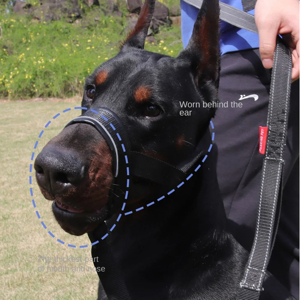 Se6e47bf4ffe14ae18ac30f8d9ad432b3w