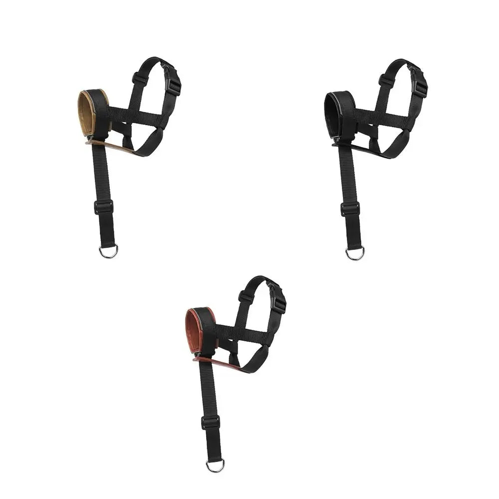 Se809c96be73d442799bd413daf71238f1