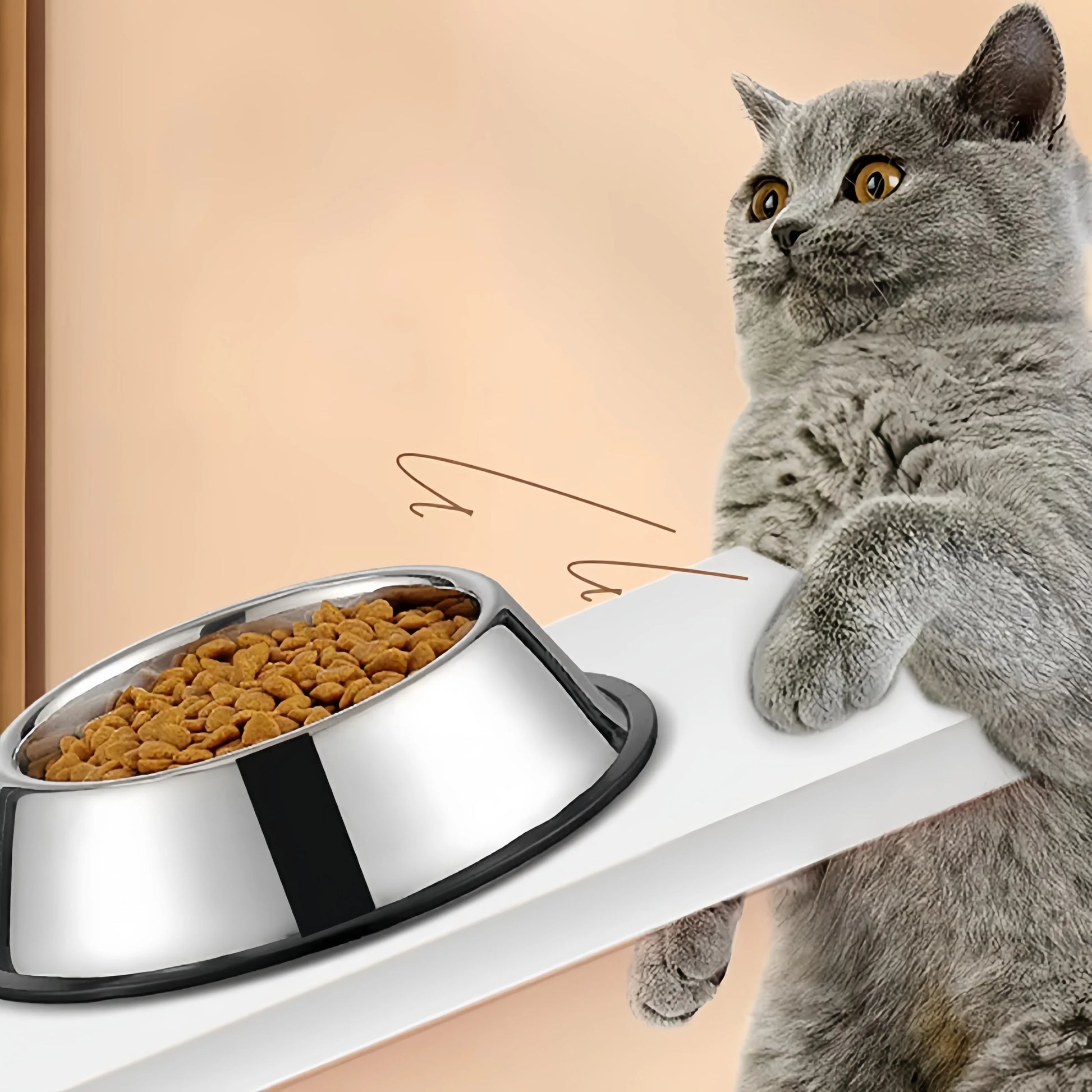 Seedffa56b8254e12a56ff95faa35bd41z