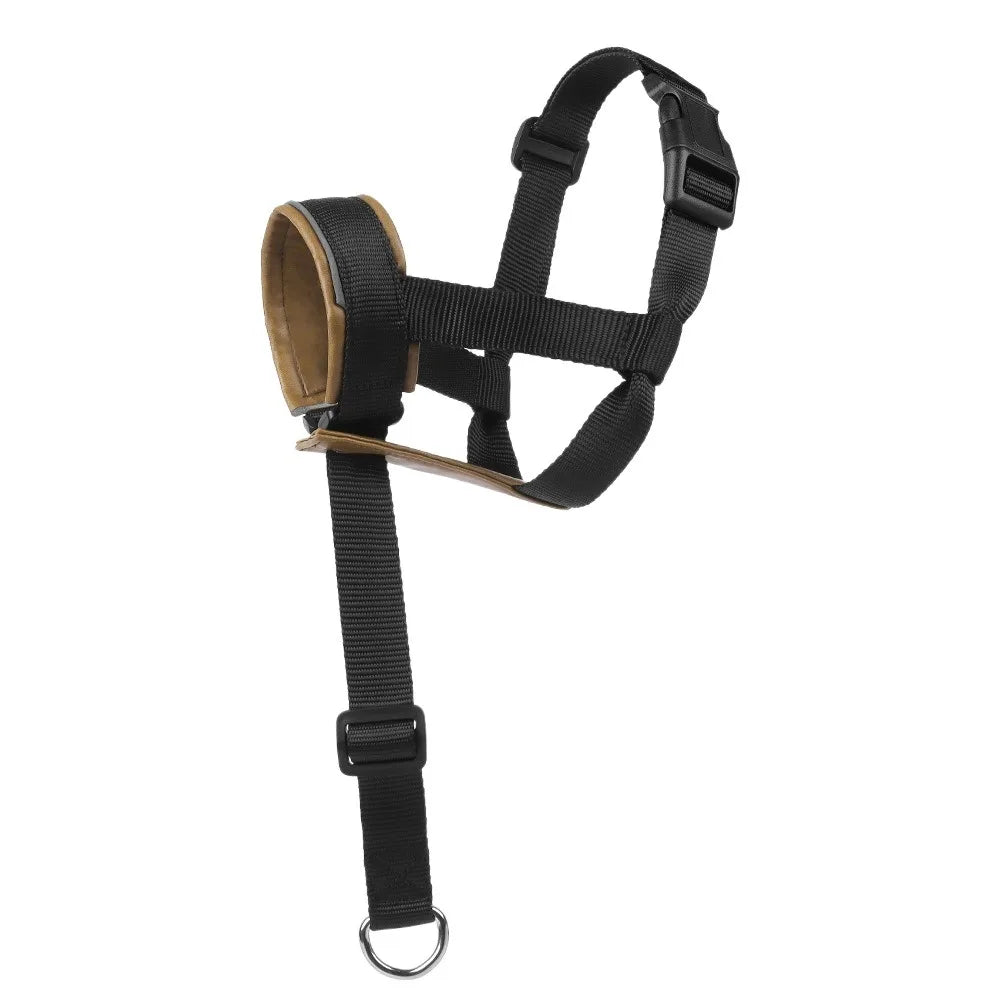 Seefed027eda745ffac5f0bf27d5d6b3c6